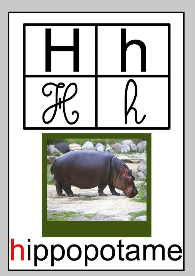 Lettre H hippopotame
